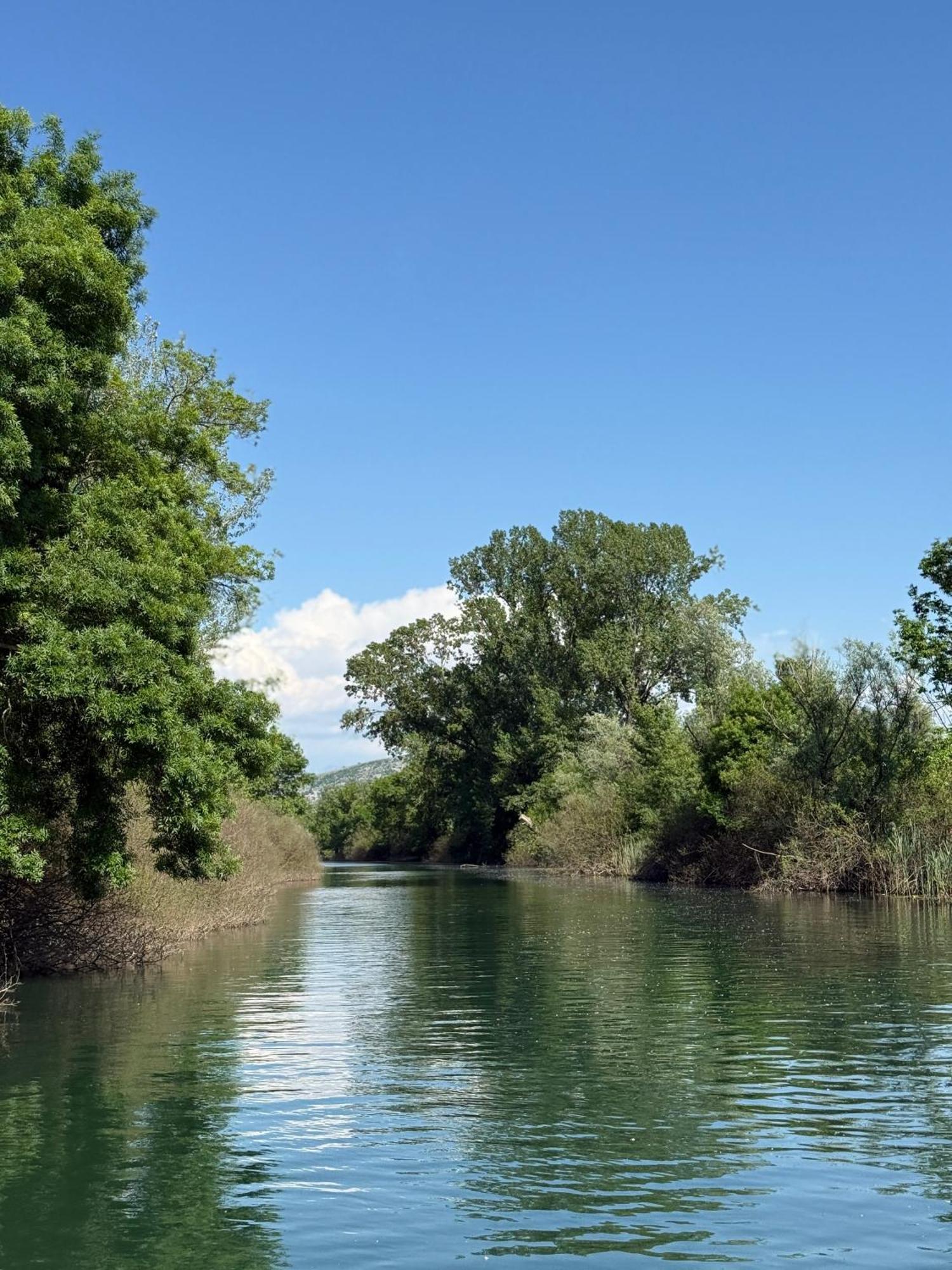 Lake Skadar Paradise Dodosi المظهر الخارجي الصورة